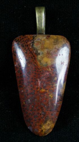 Nephi Petrified Palmwood Pendant #7258